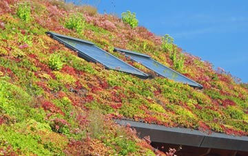 Tuddenham St Martin living roof systems
