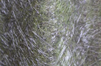 Tuddenham St Martin fibreglass roof work